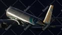 create msfs 2020 and 2024 virtual airline livery for microsoft flight simulator