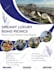 design eye catching business or event flyers in 4 hours