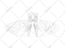 draw detailed architectural line art of any building or house