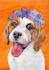 paint adorable watercolor pet portrait