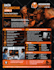design professional flyer or poster for your business