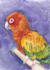 create art watercolor pet animal portrait