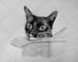 do custom pet portrait, cat portrait, dog portrait drawing