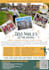 design any professional poster or flyer