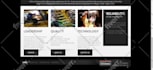 website maintenance at 99usd per month