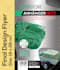 design a professional flyer or brochure for your business