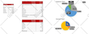 provide expert advanced formulas and pivot table solutions