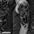 create an awesome tattoo design as a tattoo artist
