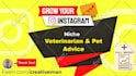 grow your instagram organically