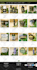 build squarespace website design, redesign squarespace website development