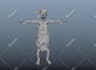 rig any type of 3d characters for animation