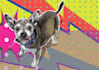 create catchy pop art illustrate for your needs