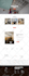 design, redesign website, build wordpress website or blog