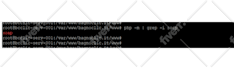 provide any kind of web hosting support