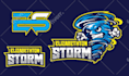 create logo for your baseball softball team and other sports
