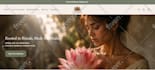 shopify website development shopify website redesign