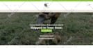 create wordpress website design and ecommerce website with wordpress woocommerce