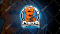 craft custom animated twitch stream overlays,logo,banner and emotes