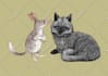 draw dark art animal illustration
