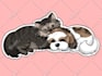 draw cute sticker art of your pets