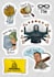 do custom themed sticker packs unique designs