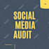 conduct social media audit