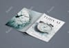 create stunning professional book cover designs using ai