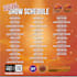 design professional flyer for any business, event, or party