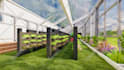 do 3d exterior design in 3dsmax and lumion 2023 pro