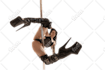 background removal, white, transparent or resizing images