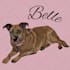 create a beautiful vector portrait of your pet
