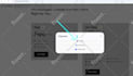 integrate stripe, paypal or any payment methods in website