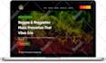 build modern wordpress website design for your business