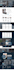 create a modern wordpress website design and development