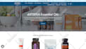 do shopify storefront modifications
