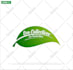 do attractive clean minimalist logo design