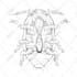 draw botanical and anatomical scientific illustrations