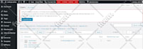 fix any wordpress issue or problem or bug