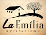 design vintage retro outdoor and rustic logo