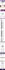do clickfunnels, leadpages, instapage funnel