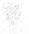 draw vector line art illustration from your photo