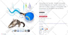 setup and manage amazon PPC campaign, amazon ads campaign fba