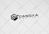 create a professional business logo design