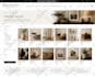 develop shopify store design shopify store development and website development