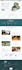 update wordpress, plugins without losing any data
