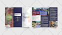 do professional flyer, bifold, trifold brochure design