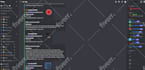 setup a professional discord server with bots and security