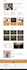 build wordpress website design and development