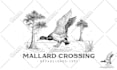 illustrate original hand drawn logo creation and vintage illustration
