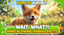do faceless youtube video editing and shorts